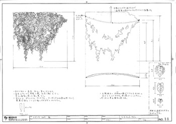 聖の青春