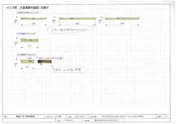 ドラインビング・エンゼルフィッシュ